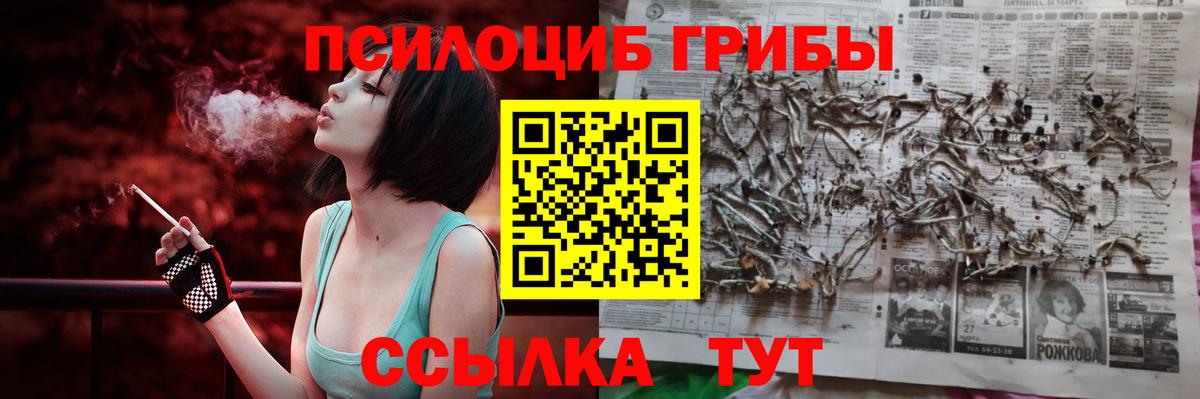 Псилоцибиновые грибы Psilocybe  Вход с VPN  Мурино 